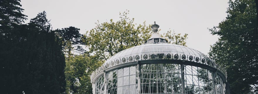 Romance à Kilkenny : châteaux, légendes et amour - Visite privée