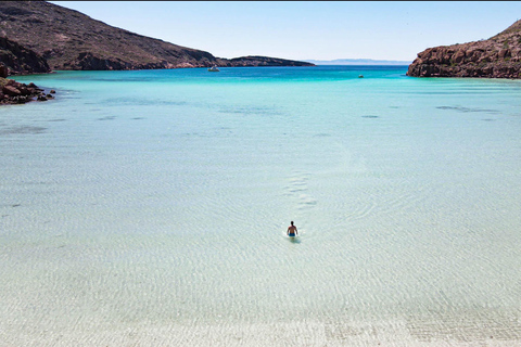 Espiritu Santo Island: Snorkeling Sea Lion Adventure