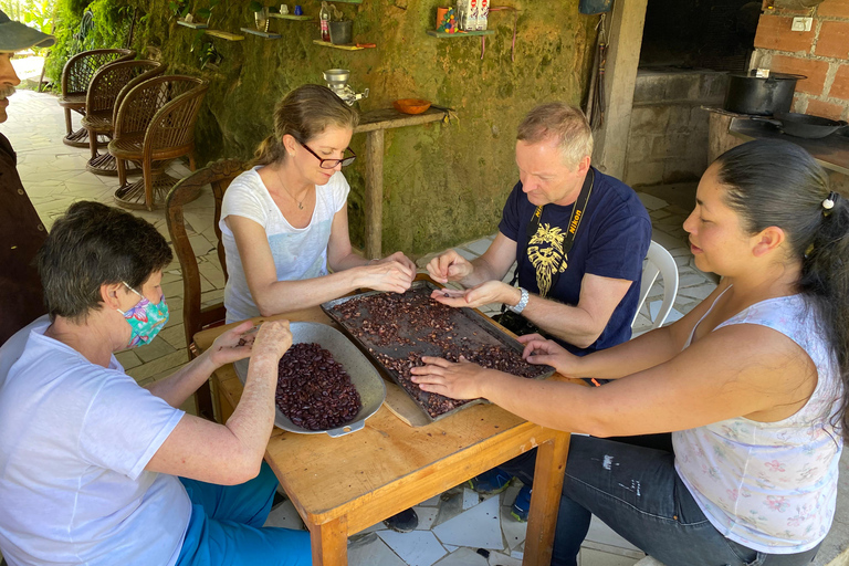 Medellin : Visite d&#039;une ferme de cacao et fabrication de chocolat, près de la villeVisite guidée