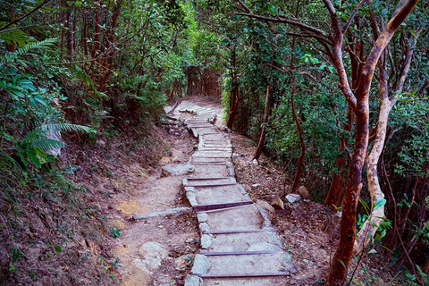Hong Kong: Lion Rock Ridge Views Guided Hike (4 Hours)