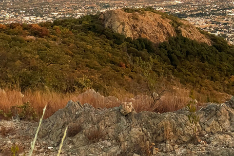 25 Min. from Oaxaca: A Scenic Hike Above the Central Valleys