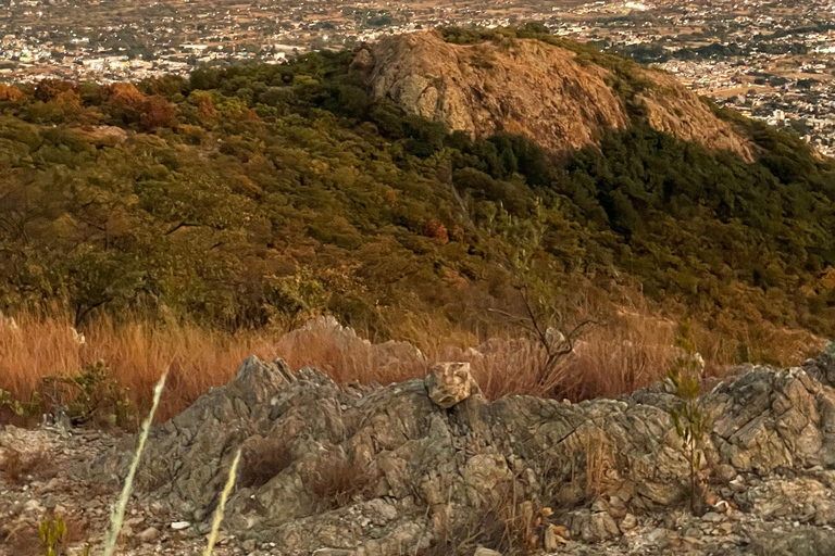 25 Min. from Oaxaca: A Scenic Hike Above the Central Valleys