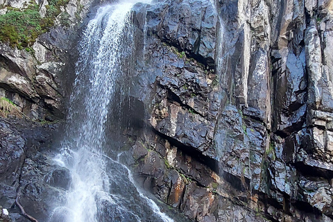 Sofia from above: Vitosha Mountain Private Hike