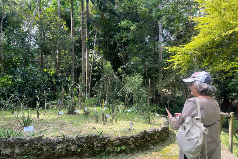 Cartagena: Adventure in Turbaco and botanical garden Cartagena: Turbaco Adventure and Botanical Garden