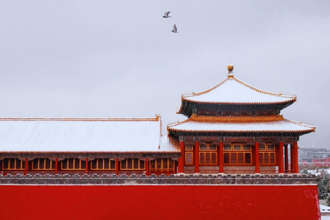 Beijing: Forbidden City and Summer Palace Private Tour