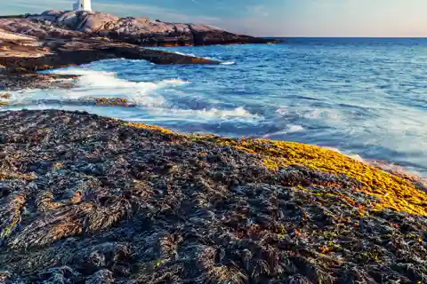 Descubra Peggy's Cove: Viagem particular saindo de Halifax