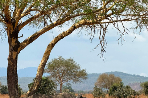 From Zanzibar: Mikumi National Park Fly-In Safari with Lunch