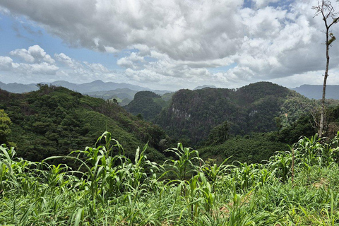 San Cristóbal to Palenque Transfer: Falls & Daytime Travel