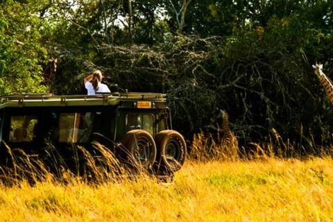 From Kigali: 1-Day Akagera National Park With Picnic Lunch