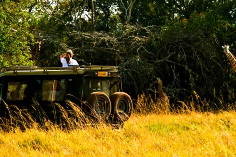 From Kigali: 1-Day Akagera National Park With Picnic Lunch