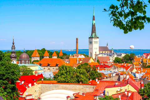 Tallinn Old Town Walking Tour: Medieval to Digital Estonia