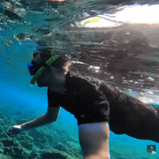 Cebu: Oslob Whale Shark and Moalboal Snorkeling Adventure Cebu: Oslob Whale Shark and Moalboal Snorkeling Adventure