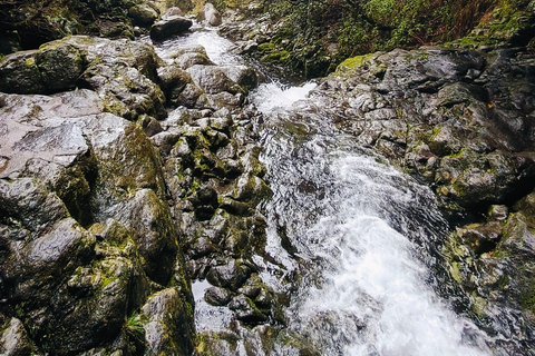 Madeira: 25 Fontes & Risco Guided Hike Rabaçal