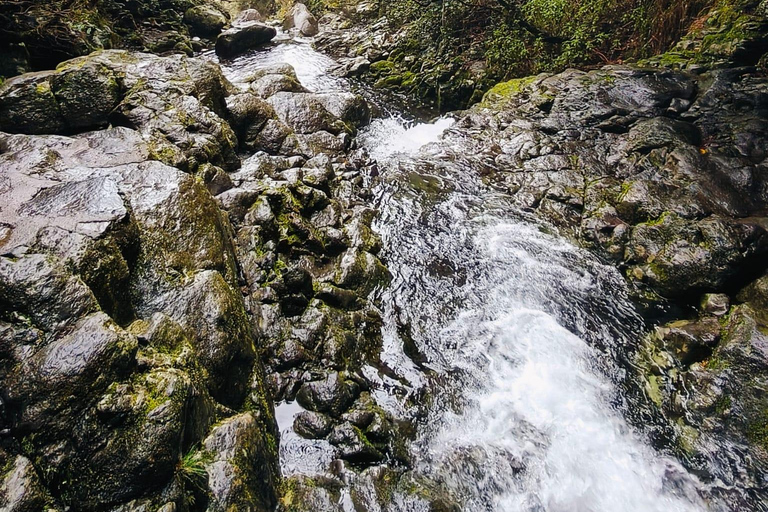 Madeira: 25 Fontes & Risco Guided Hike Rabaçal