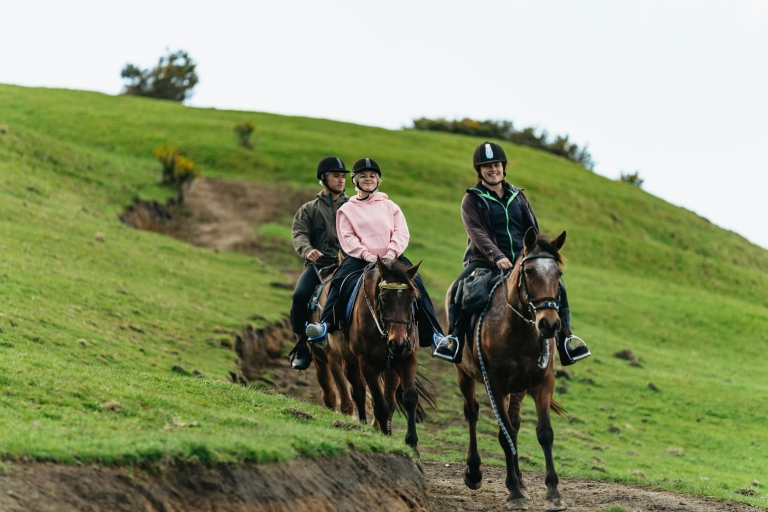 Rotorua : Randonnée à cheval guidée