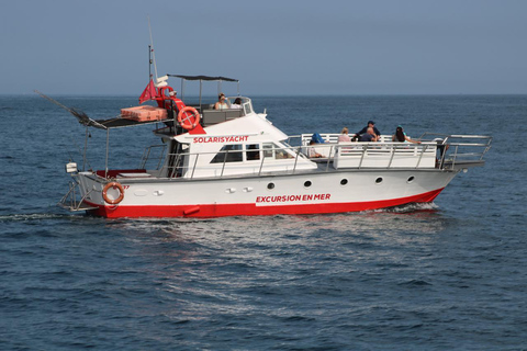 Agadir Ocean Adventure : Excursion en bateau pour la pêche et le barbecue