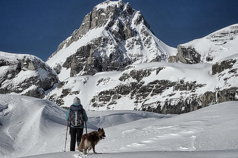 Schweiz: snöskovandring privat tur