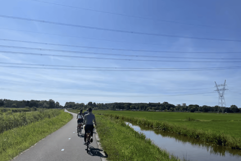 Amsterdam: E-Bike, Cheese, Windmill & Countryside Tour