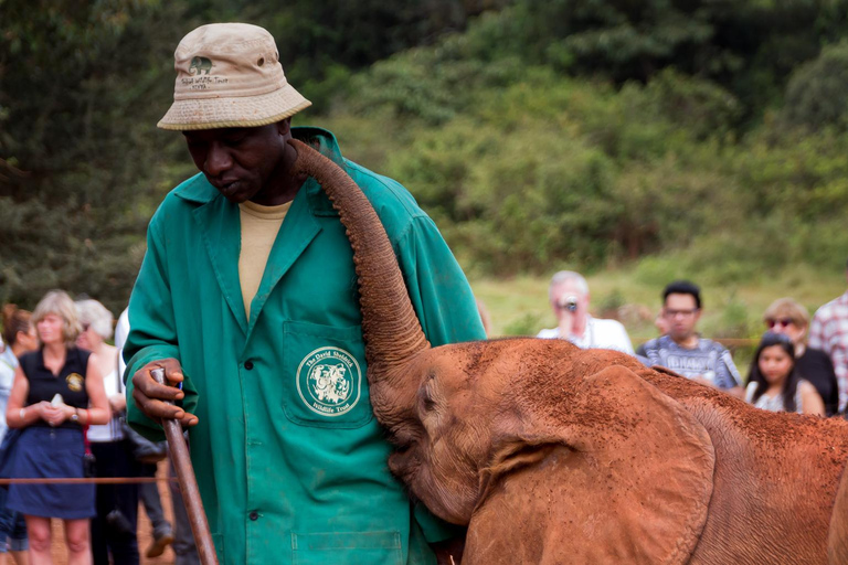 Depuis Nairobi : perles de Kazuri, centre pour bébés éléphants et girafes