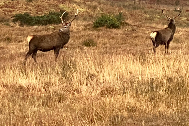 Isle of Skye: Private Day Trip with Transportation Skye Alive Tours