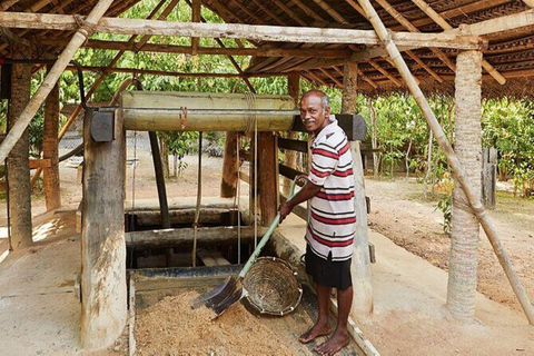 拉特纳普拉：从本托塔/科伦坡出发的宝石市场和采矿之旅