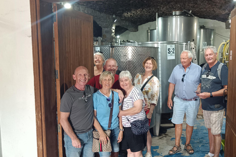 Desde Las Américas!VIP Wine tasting & Guachinche lunch 1200m VIP Wine Tour! Enjoy 7 wines in bodega & Guachinche lunch