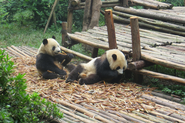 Excursion d&#039;une journée à la base de pandas de Chengdu et au bouddha géant de LeshanVisite privée de la base de pandas de Chengdu et du Bouddha de Leshan