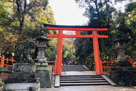 Osaka:Nara & Uji In-depth One-Day Tour丨Deer Feeding