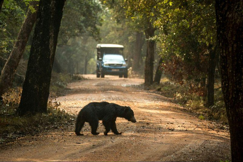 From Colombo/Negombo: Wilpattu Safari & Sigiriya Transfer Morning Session