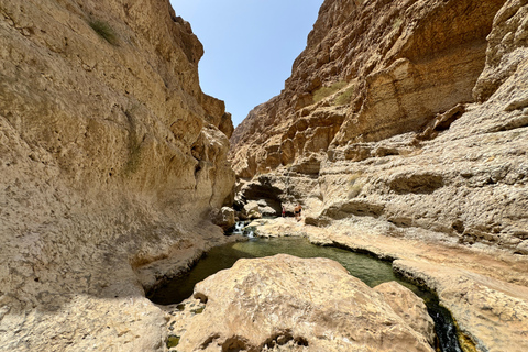 Oman: 5-Day Guided Tour with Accommodation
