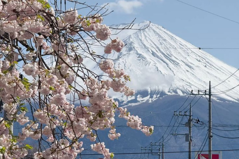 Tokyo: Mount Fuji Must See Private Tour Adjustable Itinerary