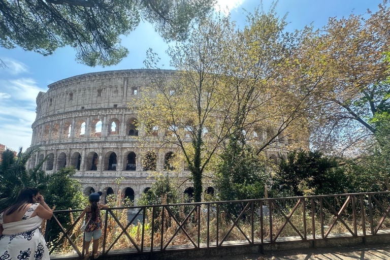 Small Group Guided Tour Colosseum Roman Forum, Palatine Hill Standard Tickets