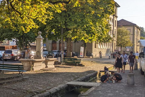 Bern: Hoogtepunten en oude binnenstad zelf wandeling met gids