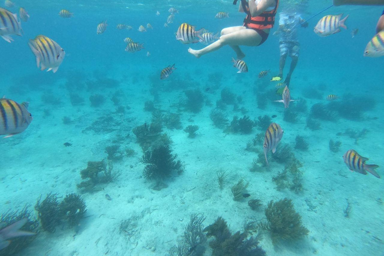 Cancún: Excursión en catamarán a Isla Mujeres con comida y snorkelExcursión desde Playa del Carmen