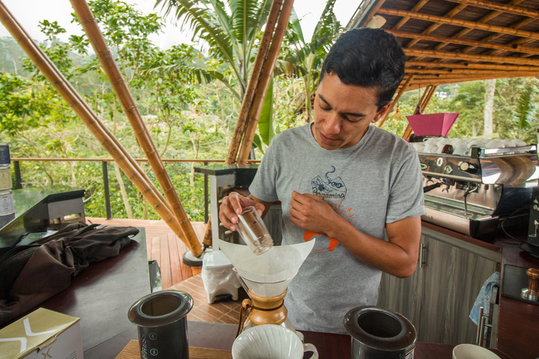 Upplevelse av kaffeodling på La Palma &amp; El Tucán från Bogotá