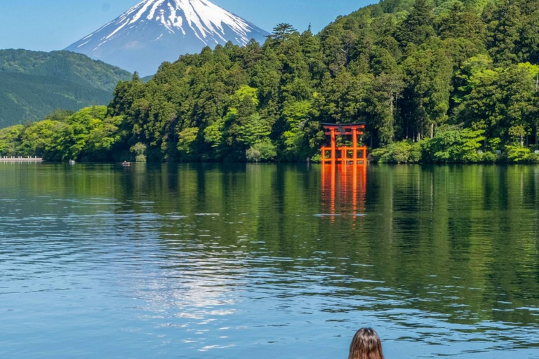 From Tokyo Mount Fuji Private Customizable Tour with Guide