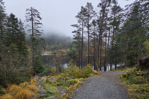 Bergen: Hike & Explore the area of Mount Fløyen