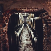 Visit 3 Wineries with Private Driver + Concierge service - Housity
