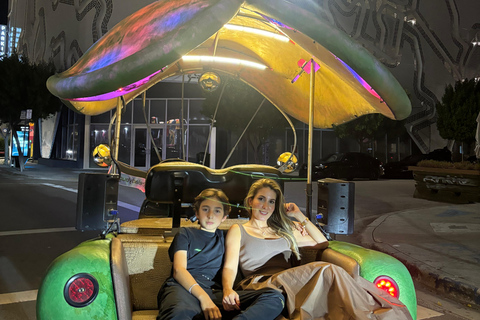 Miami: Graffiti & Street Art Tour in Wynwood Wynwood Graffiti’s Private Tour 2h