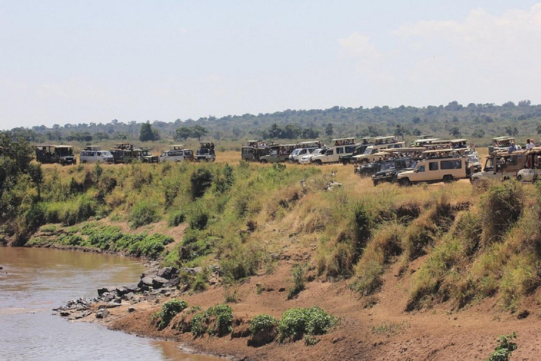 Nairobi: 3-Day Fly-In Private Maasai Mara Safari Experince