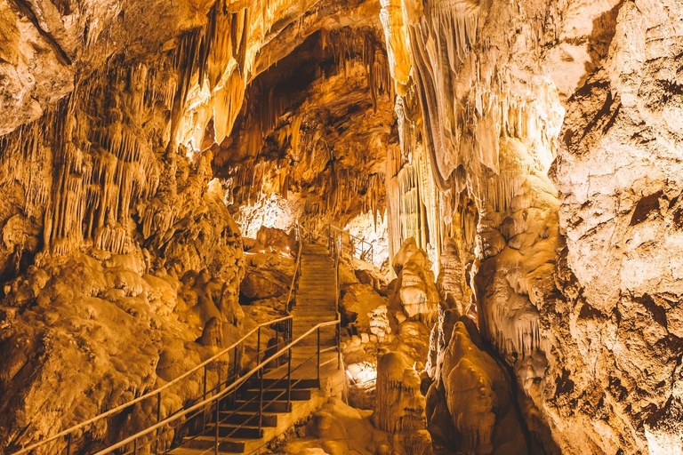 Alanya: Excursión de Aventura por la Cueva de Dim y el Río DimçayTraslados desde los hoteles de Alanya