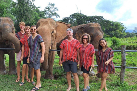 مغامرة لمدة 2-3 أيام في شيانغ ماي: قبائل التلال والفيلة والنهر2 أيام 1 ليلة واحدة: الحياة المحلية ورعا