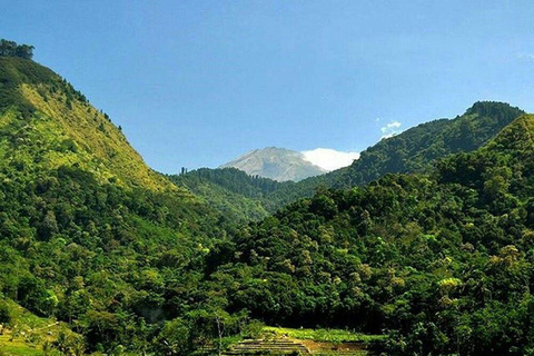 Selogriyo Temple and Java Rice Terrace Guided Trekking Tour Selogriyo Temple Java Rice Terrace Guided Trekking Tour