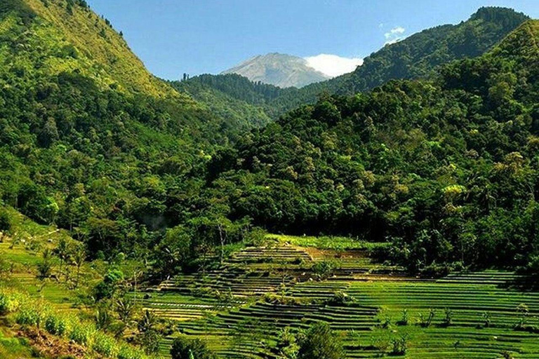 Selogriyo Temple and Java Rice Terrace Guided Trekking Tour Selogriyo Temple Java Rice Terrace Guided Trekking Tour