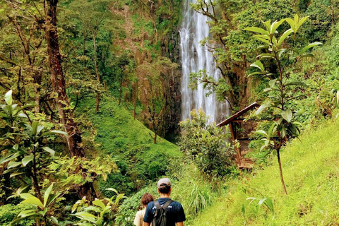 Moshi: Materuni Waterfall and Coffee Tour with Lunch