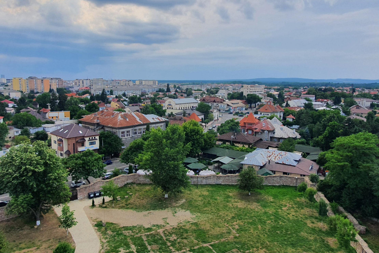 Desde Bucarest: tour privado de día completo de DráculaOpción estándar