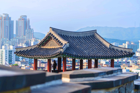 Suwon: Hwaseong, Starfield Library, and Hangnidan-gil Tour