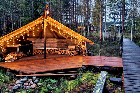 Helsinki: Buggy Ride, Reindeer Farm Visit, and Picnic