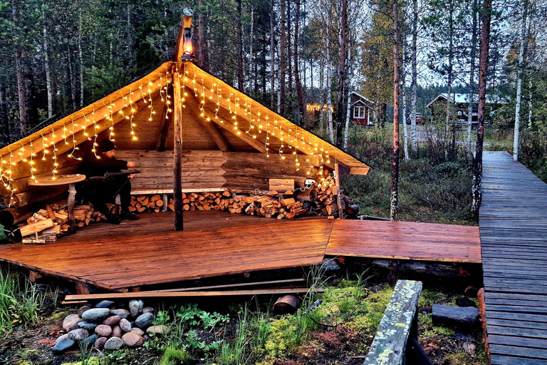 Helsinki: Buggy Ride, Reindeer Farm Visit, and Picnic