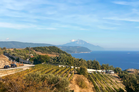 Saloniki: Halkidiki, Arnaia, Ierissos - pływanie i degustacja